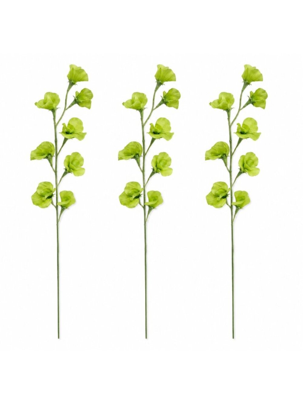 Light Green Artificial Sweet Pea Stems Set of 3 24 Inch Faux Silk Flowers Summer